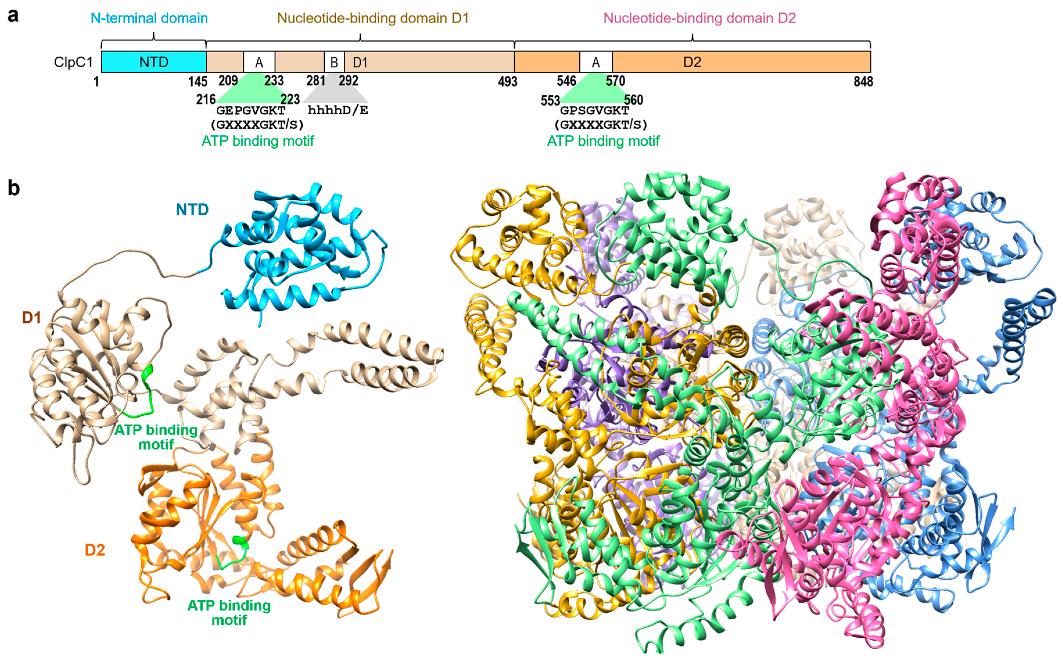Preprints 142522 g001