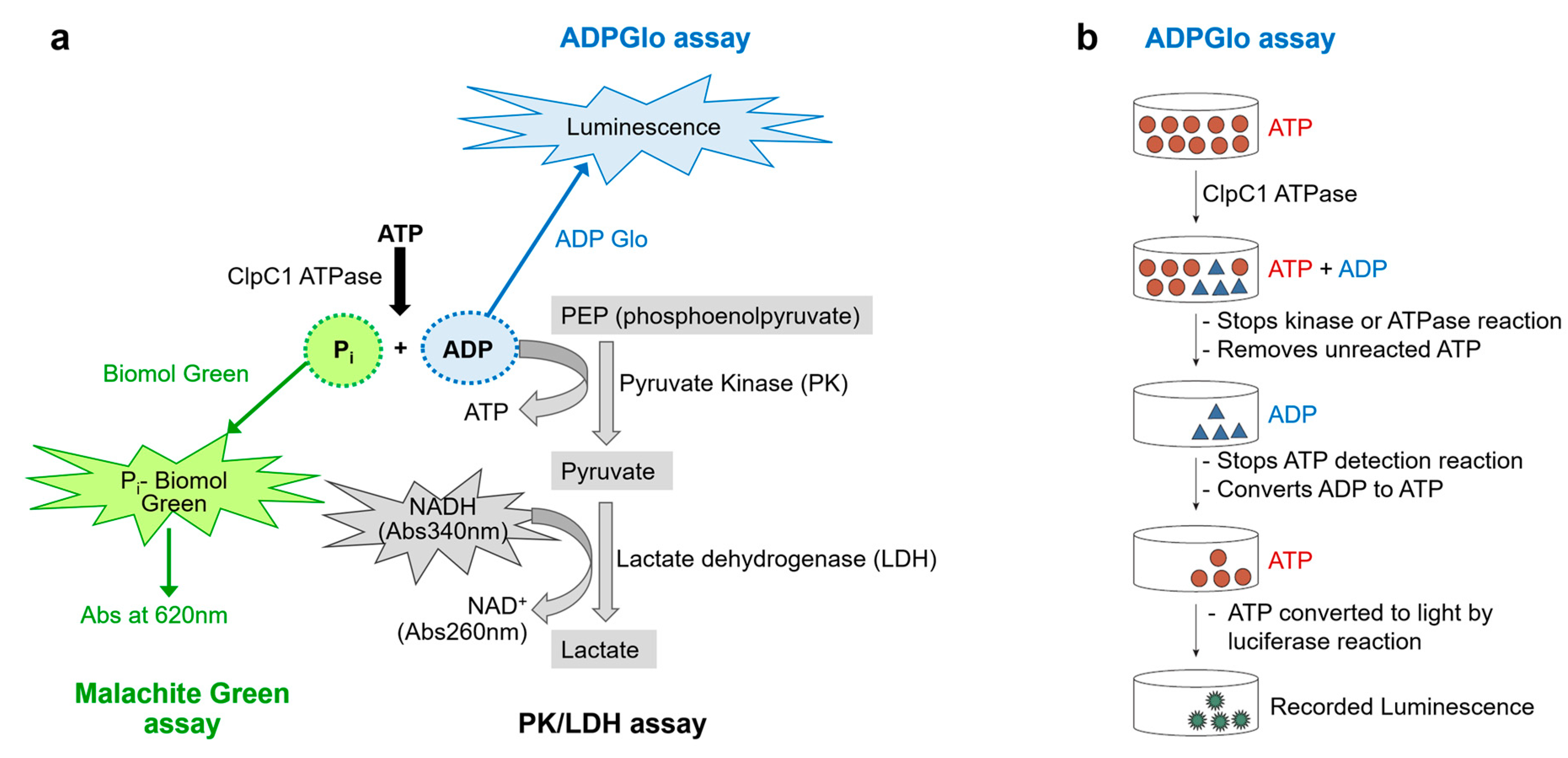 Preprints 142522 g002