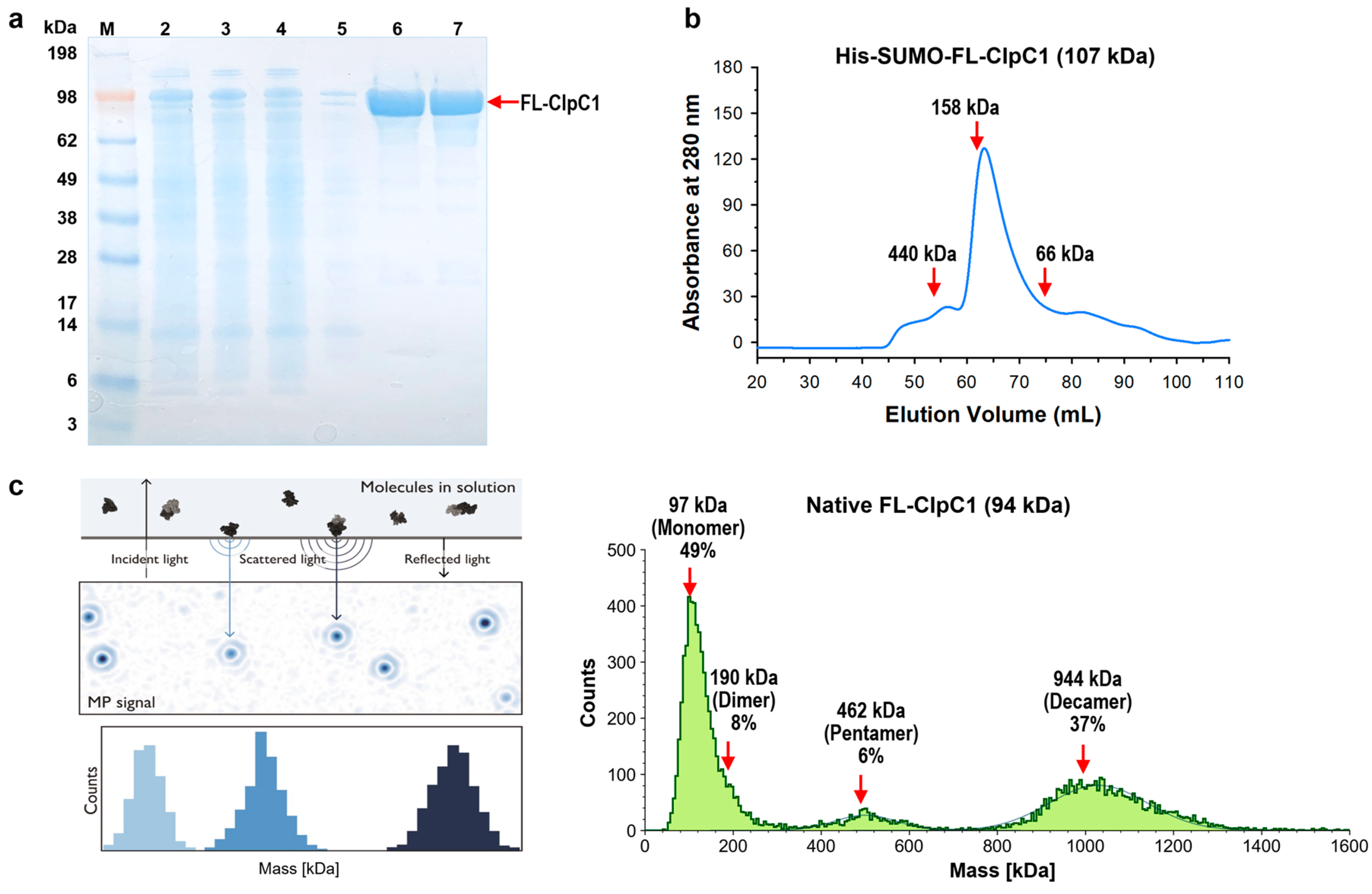 Preprints 142522 g003