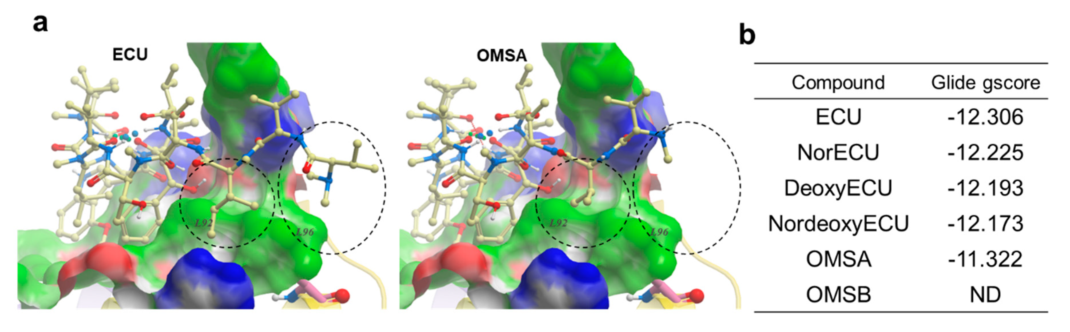 Preprints 142522 g010