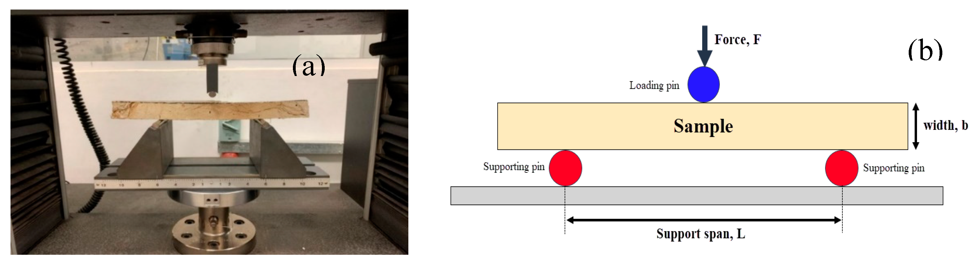 Preprints 74207 g004