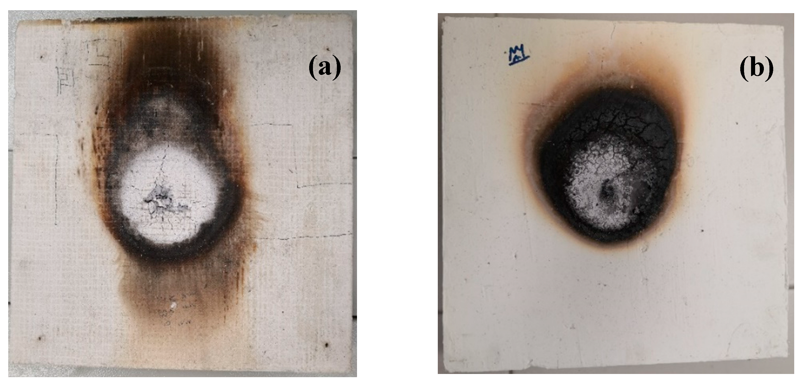 Preprints 74207 g010