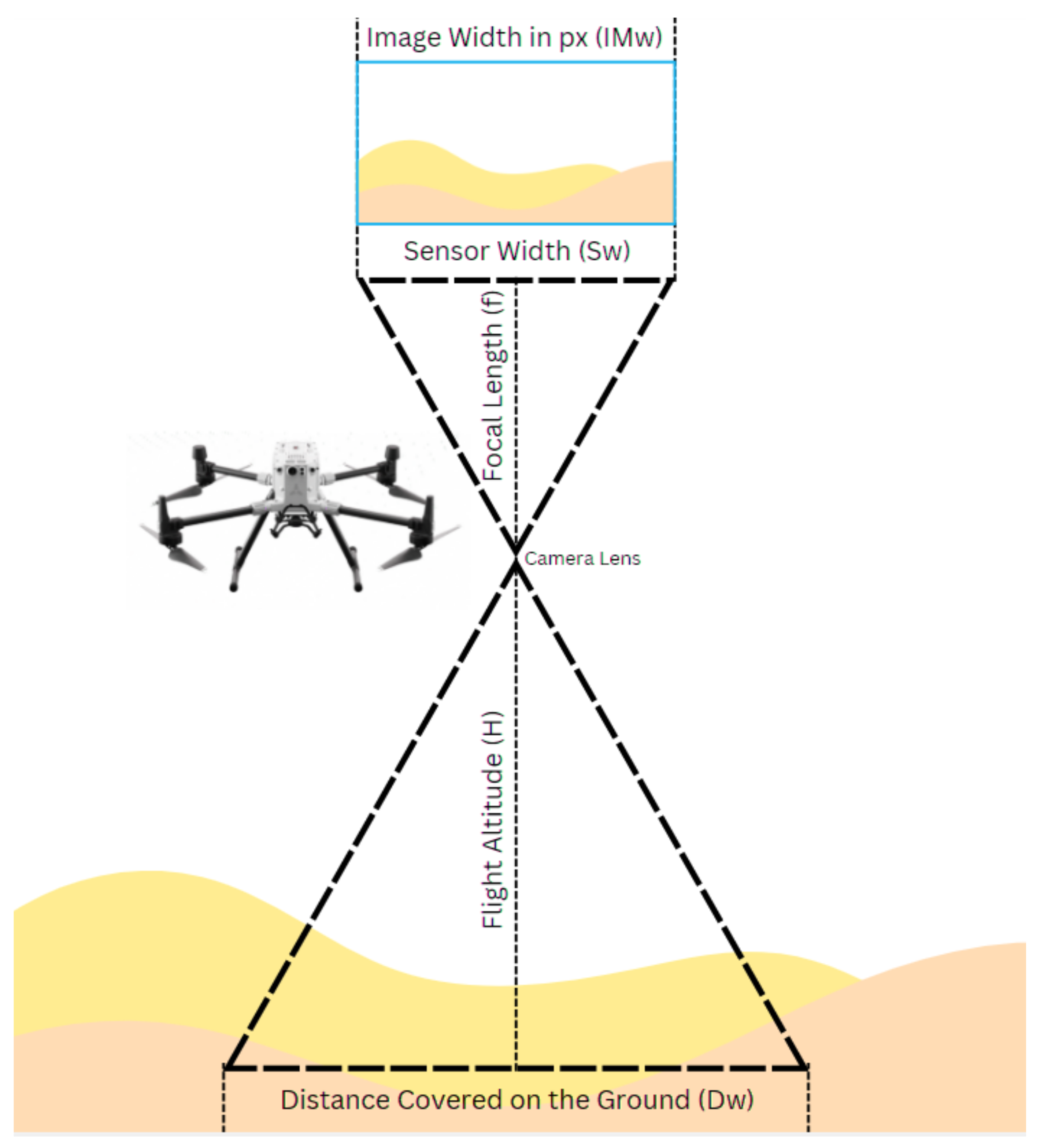 Preprints 155303 g002