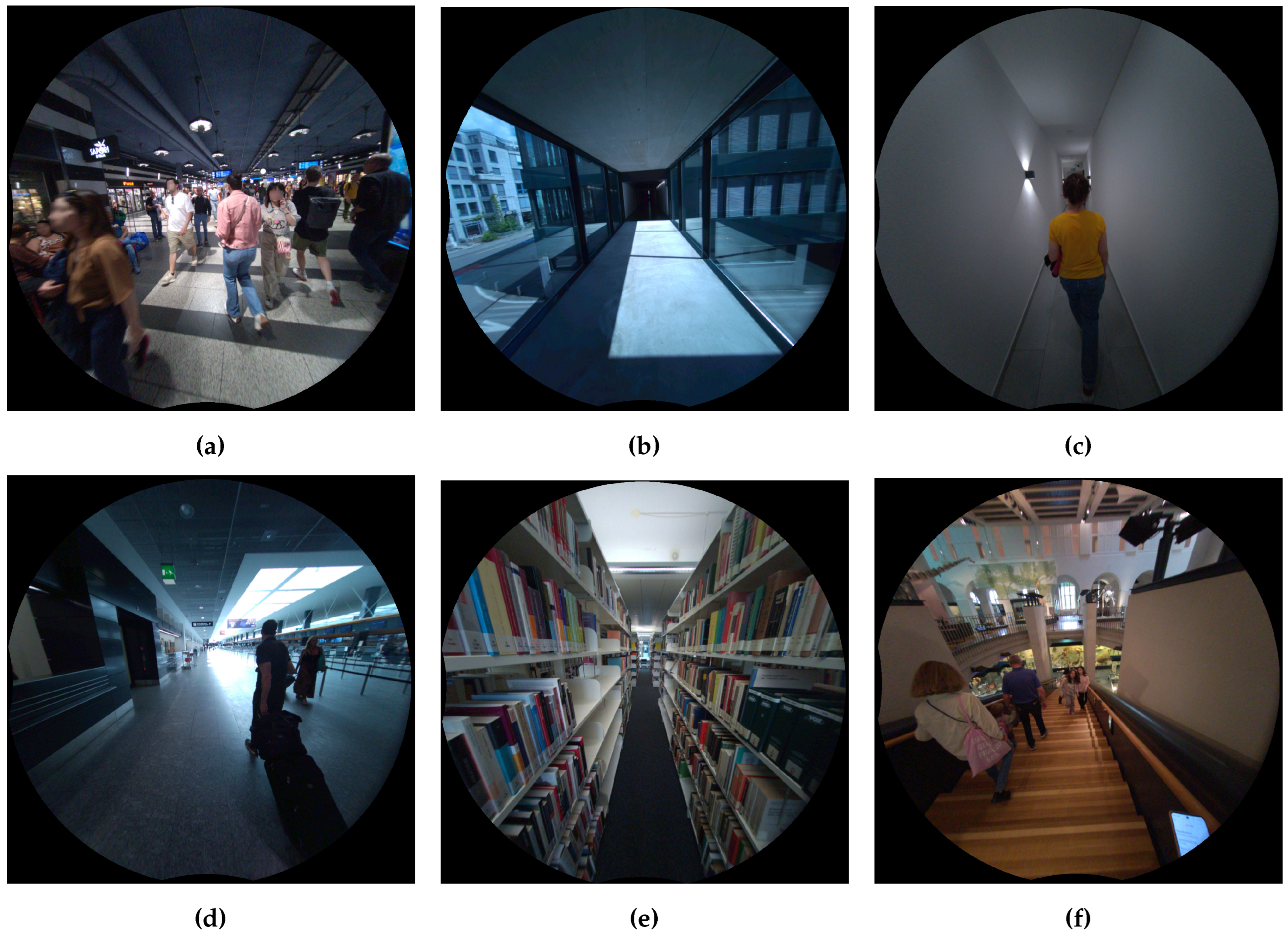 Preprints 140528 g006