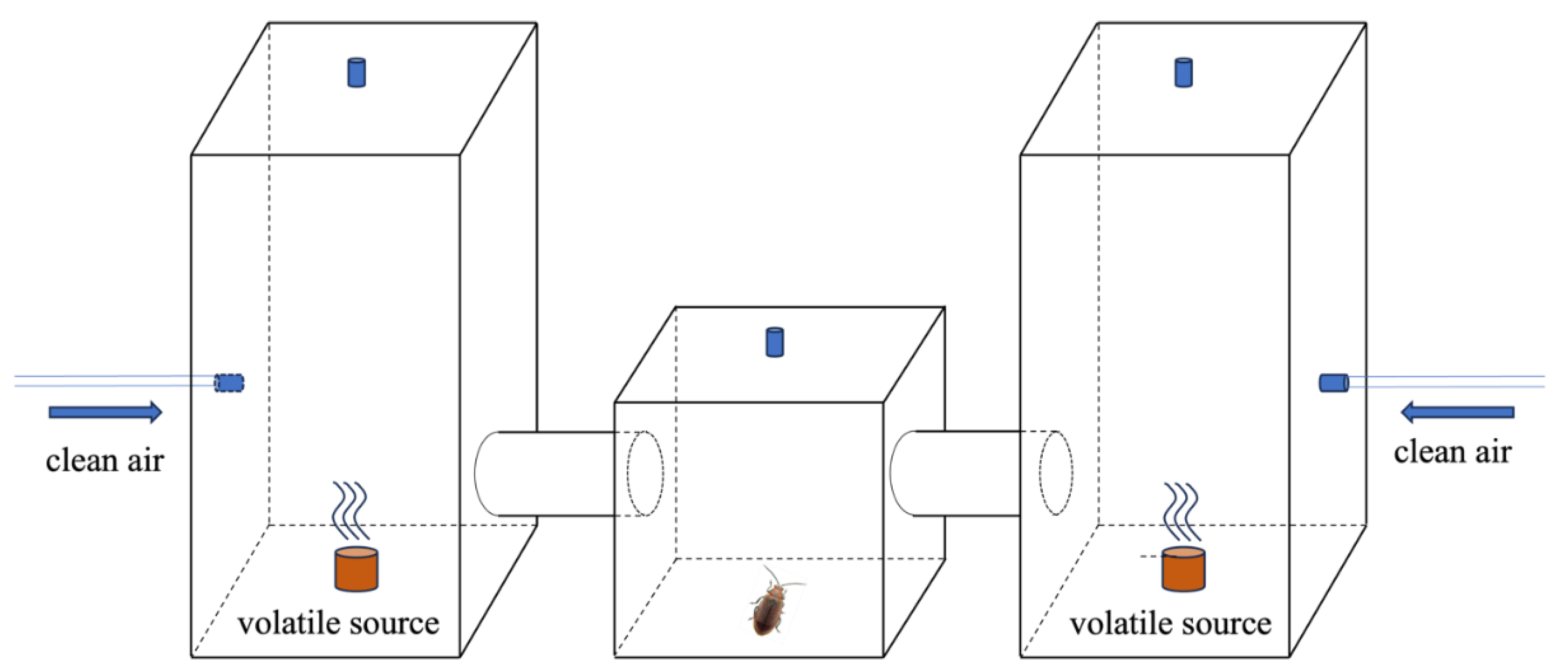 Preprints 147735 g001