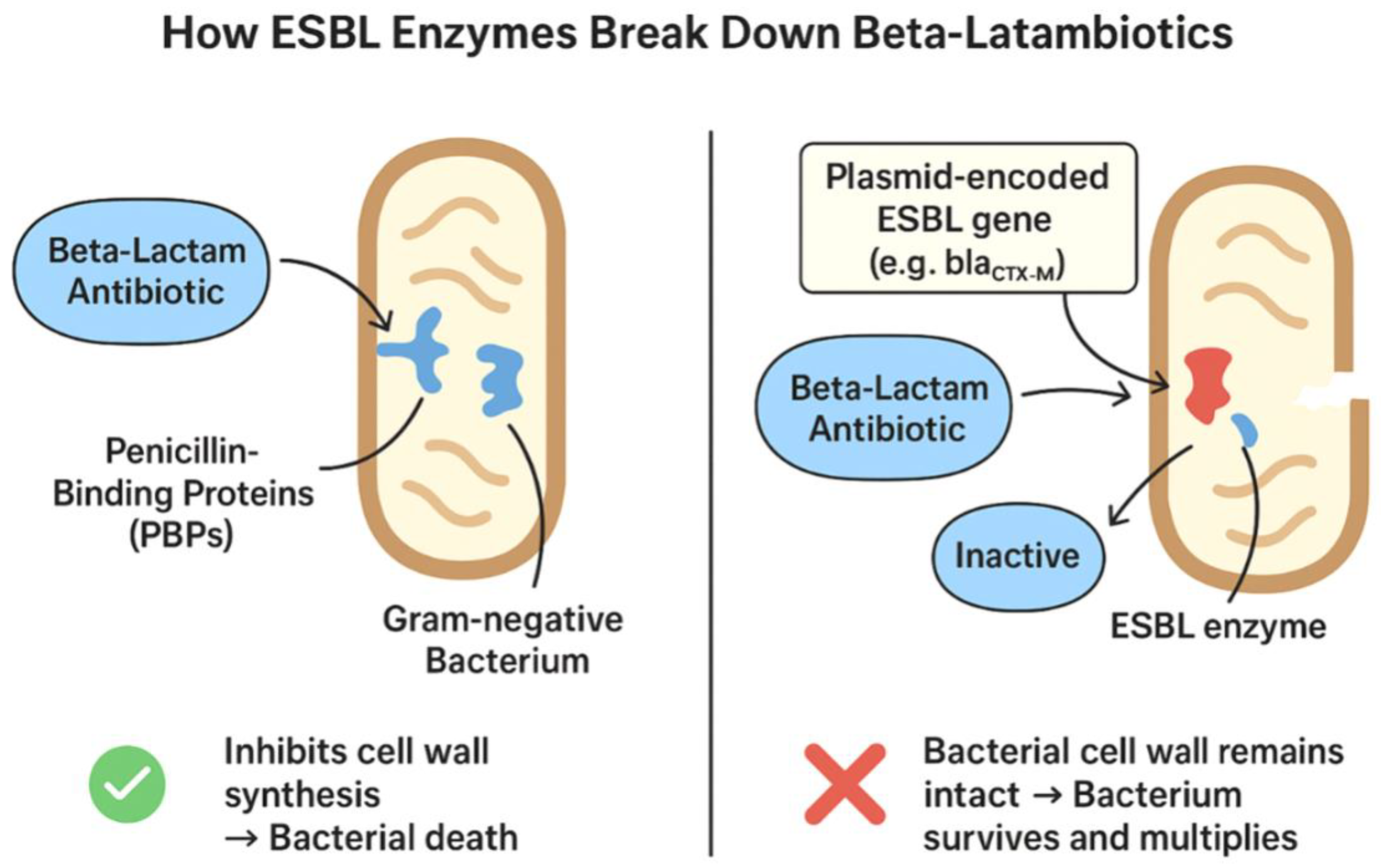 Preprints 160857 g002