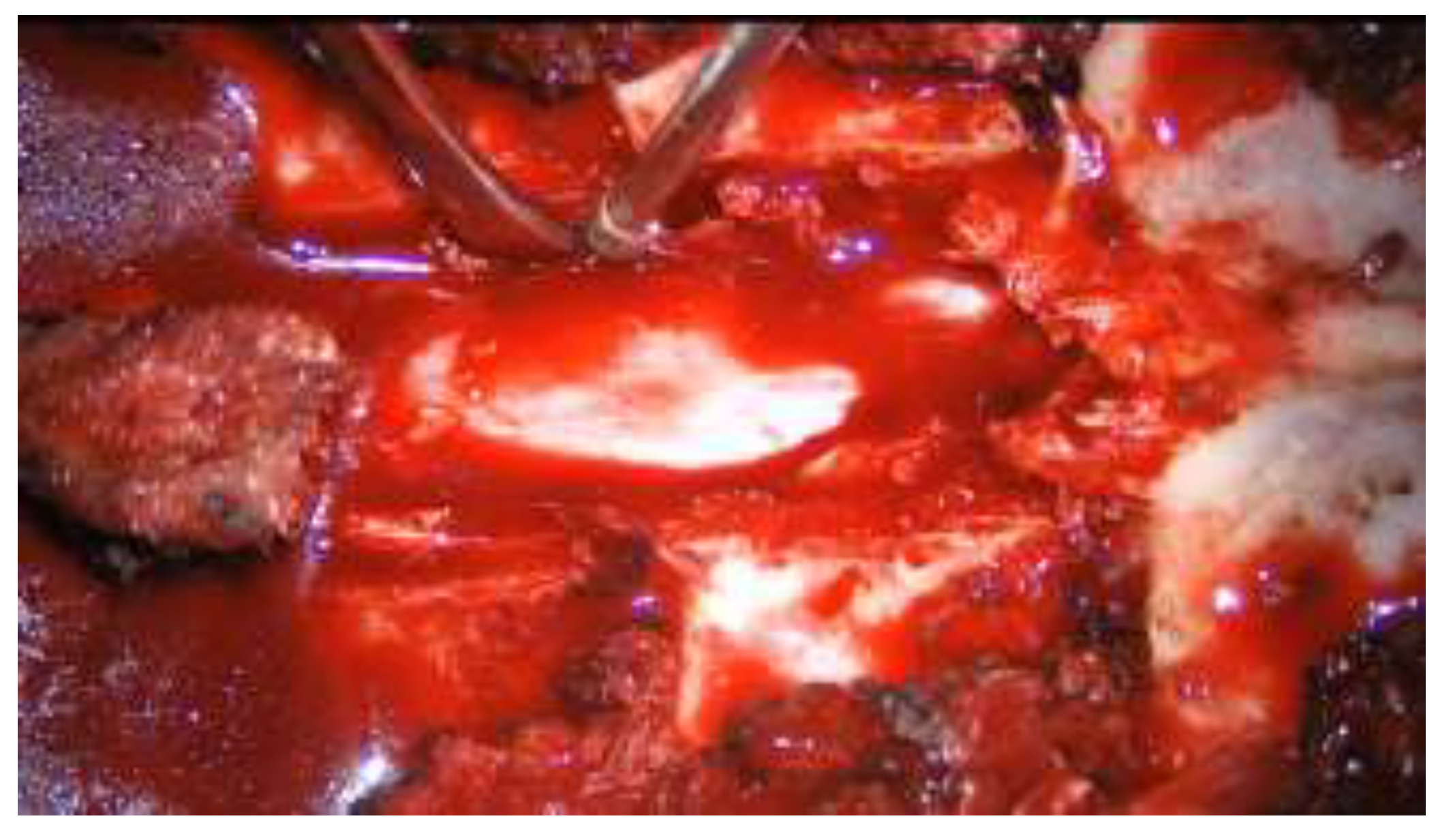 Preprints 141236 g001