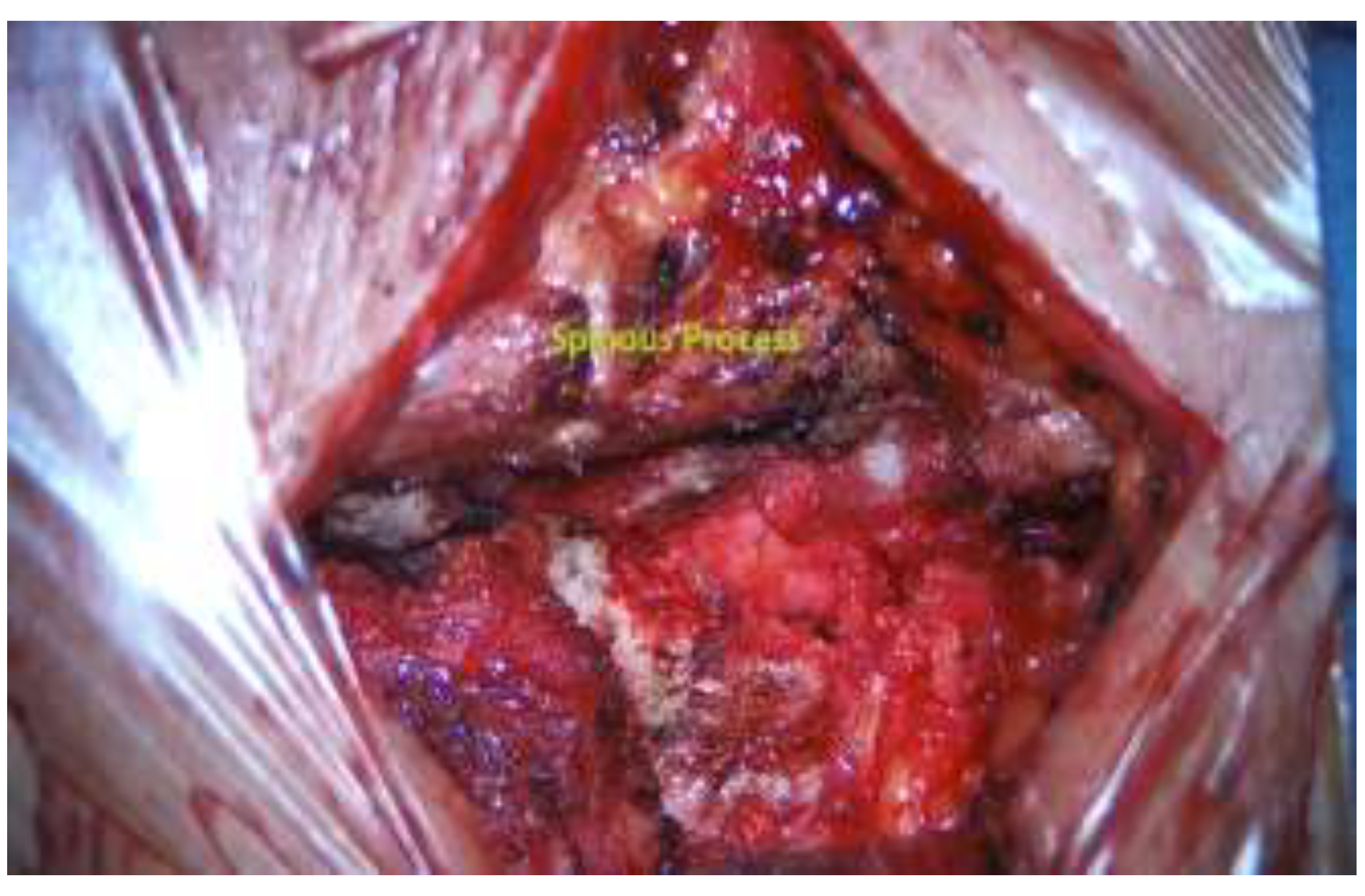 Preprints 141236 g002