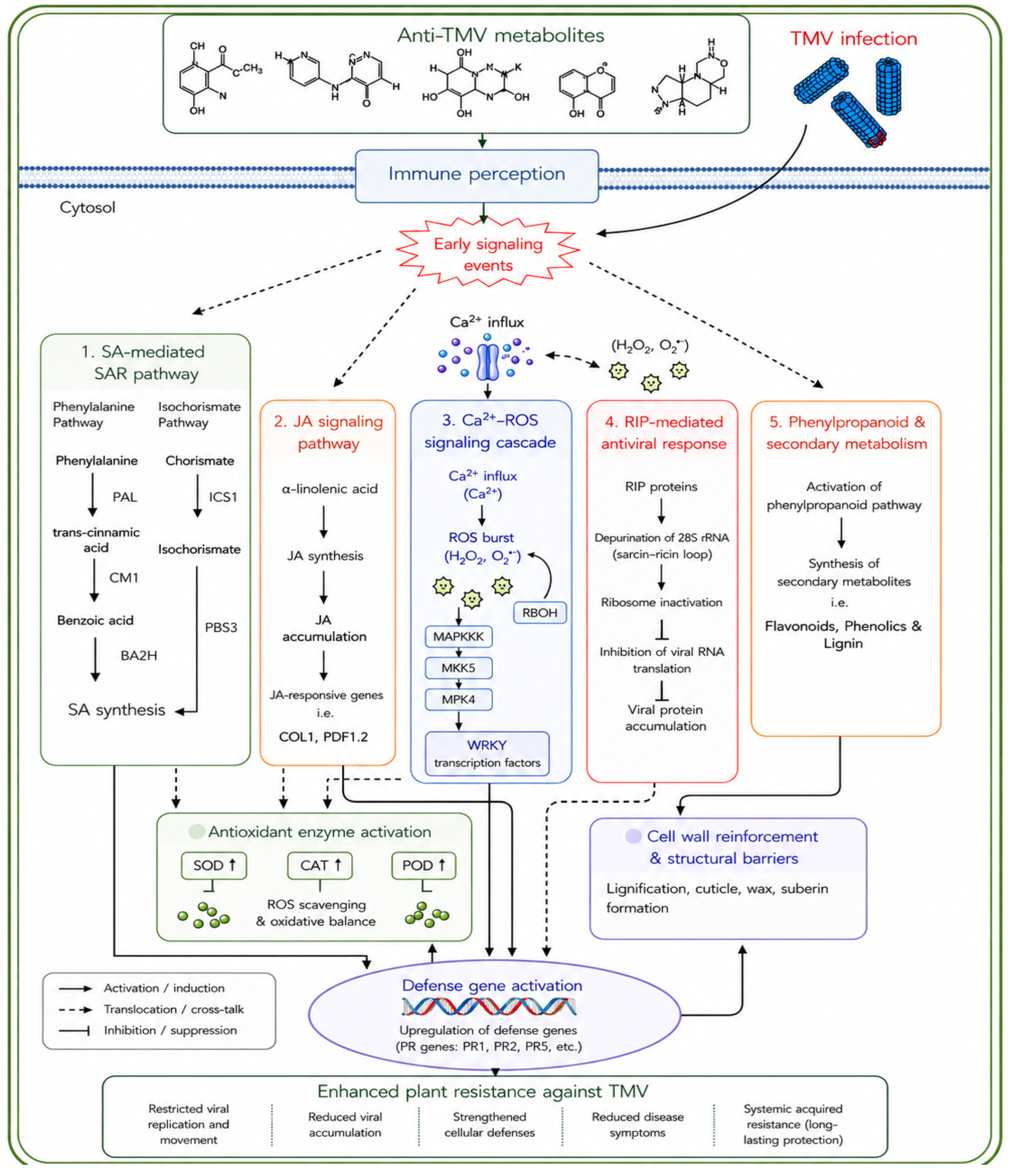 Preprints 216746 g003