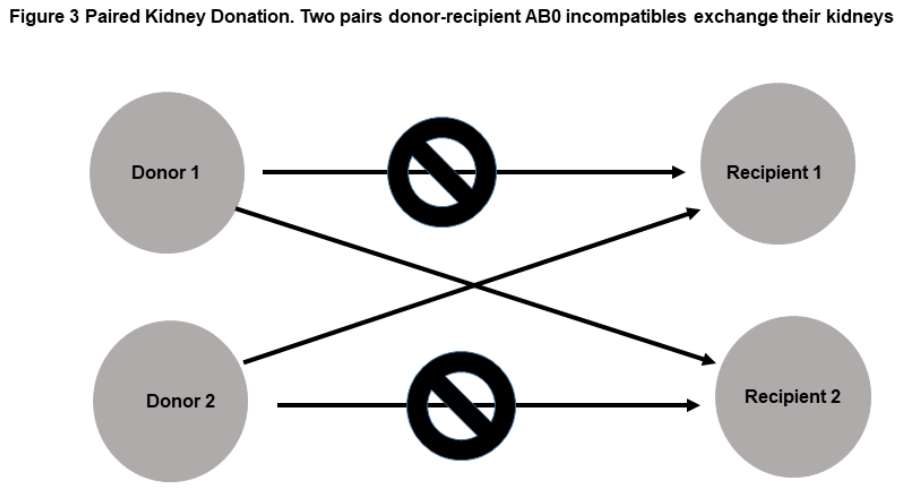Preprints 208346 g003