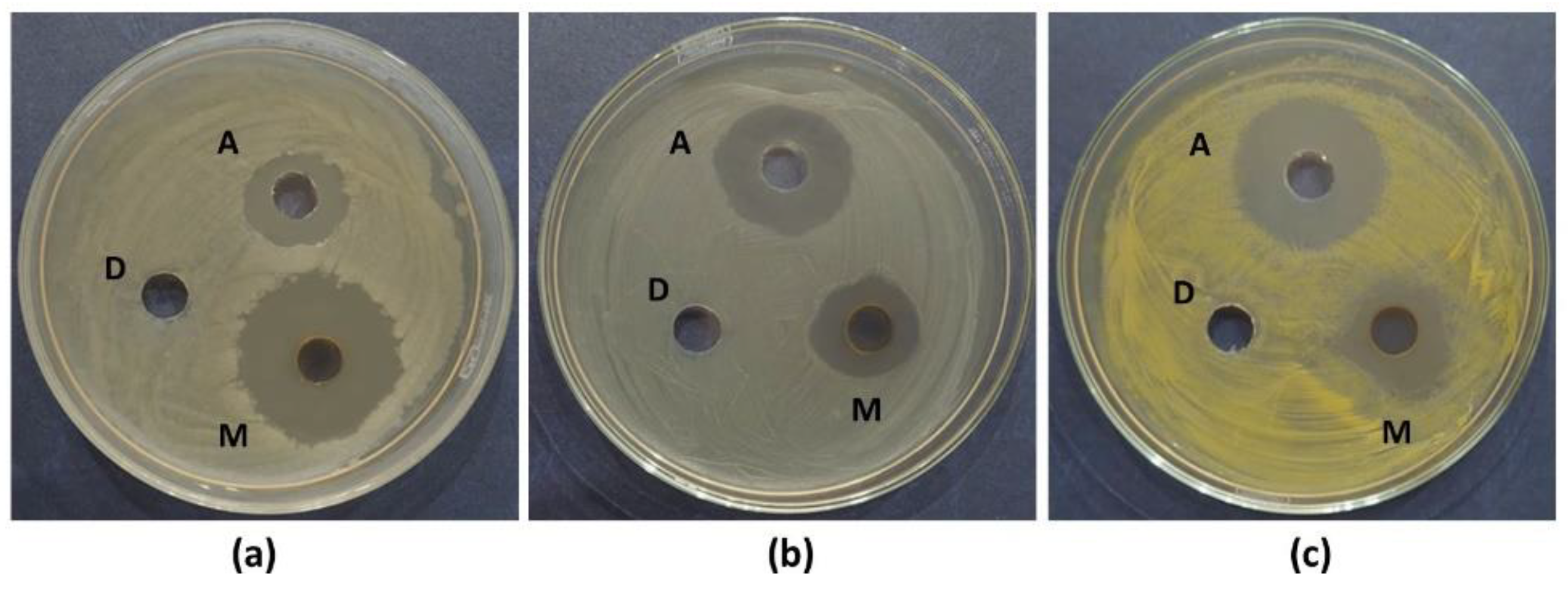 Preprints 193124 g005