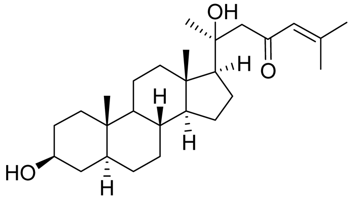 Preprints 177102 i001