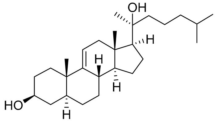 Preprints 177102 i002