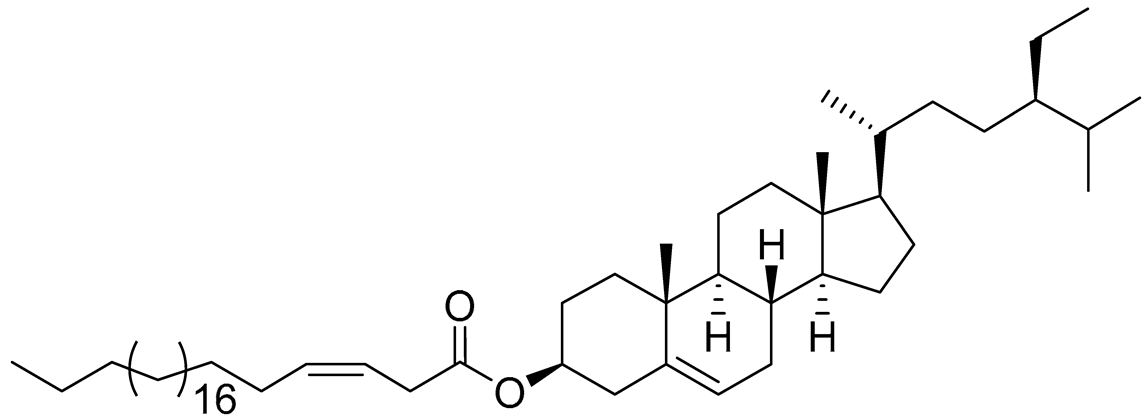Preprints 177102 i011