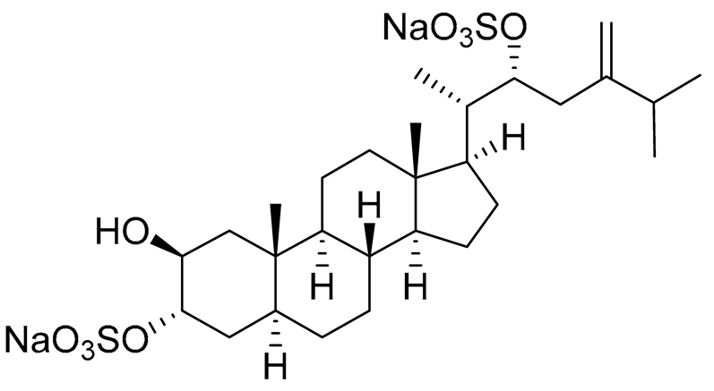 Preprints 177102 i031