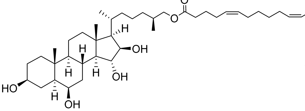 Preprints 177102 i032