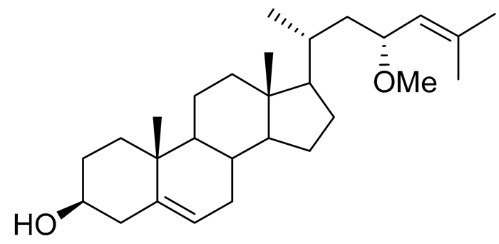 Preprints 177102 i036