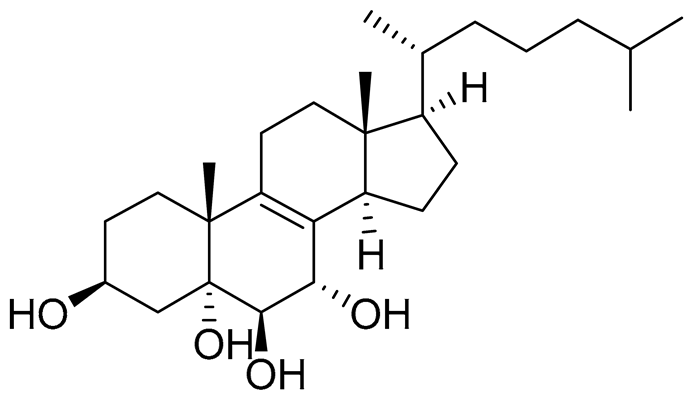 Preprints 177102 i043