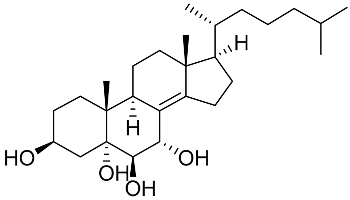Preprints 177102 i044