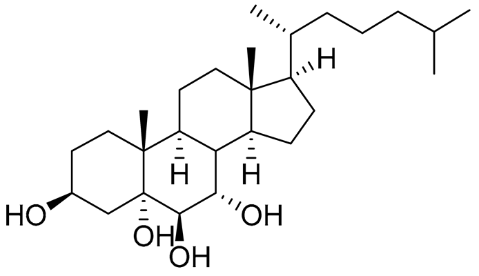 Preprints 177102 i045