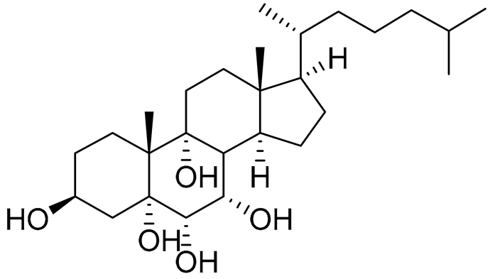 Preprints 177102 i046