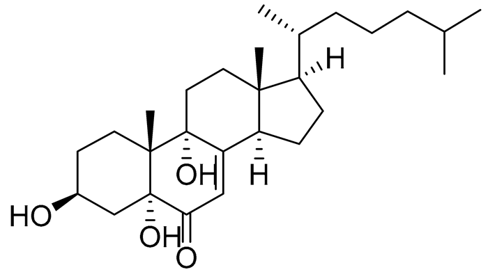 Preprints 177102 i047