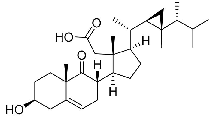 Preprints 177102 i056