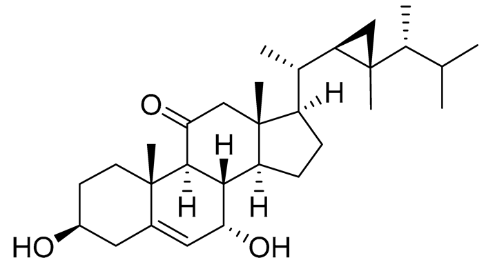 Preprints 177102 i057