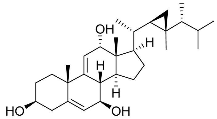 Preprints 177102 i058