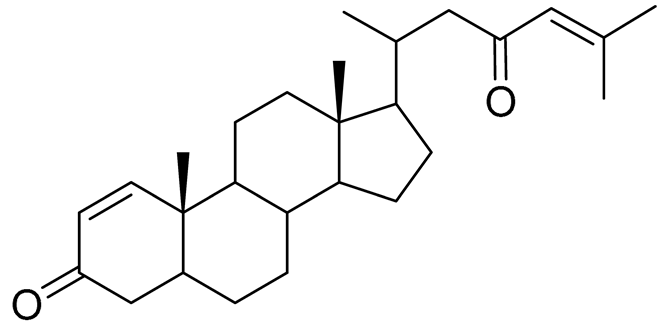 Preprints 177102 i060