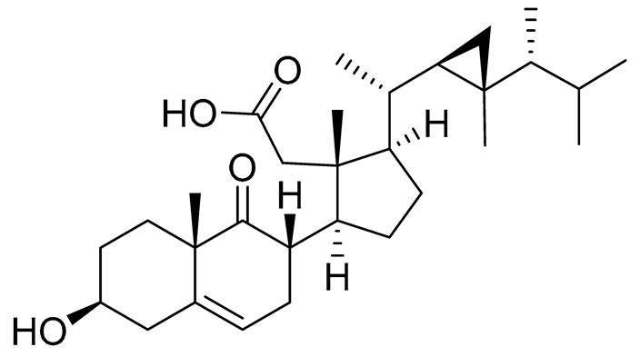 Preprints 177102 i063