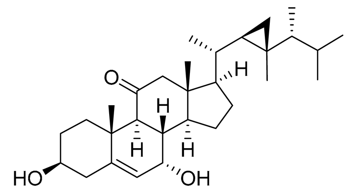 Preprints 177102 i064