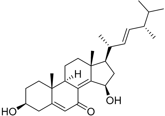 Preprints 177102 i084