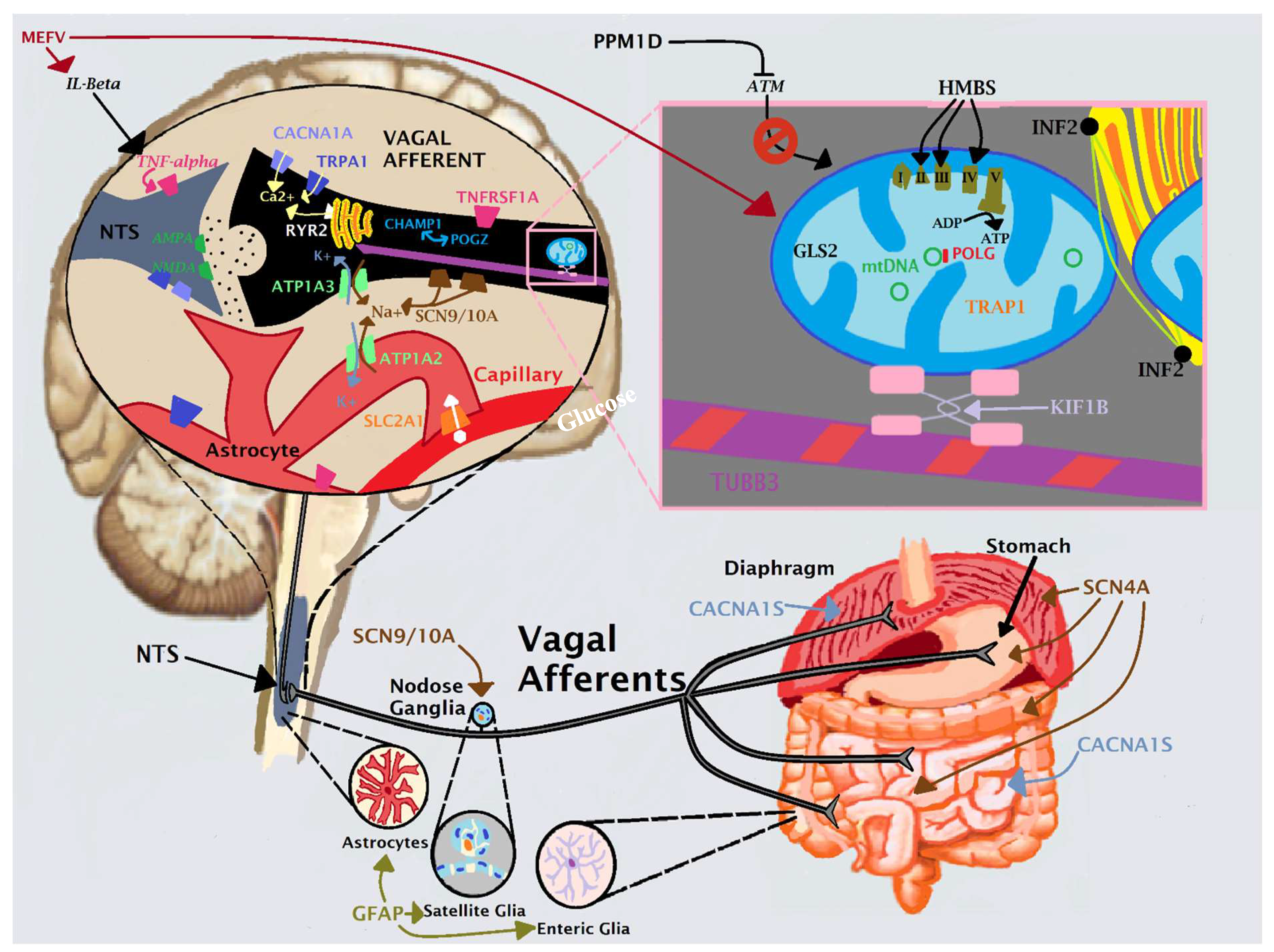 Preprints 76890 g001