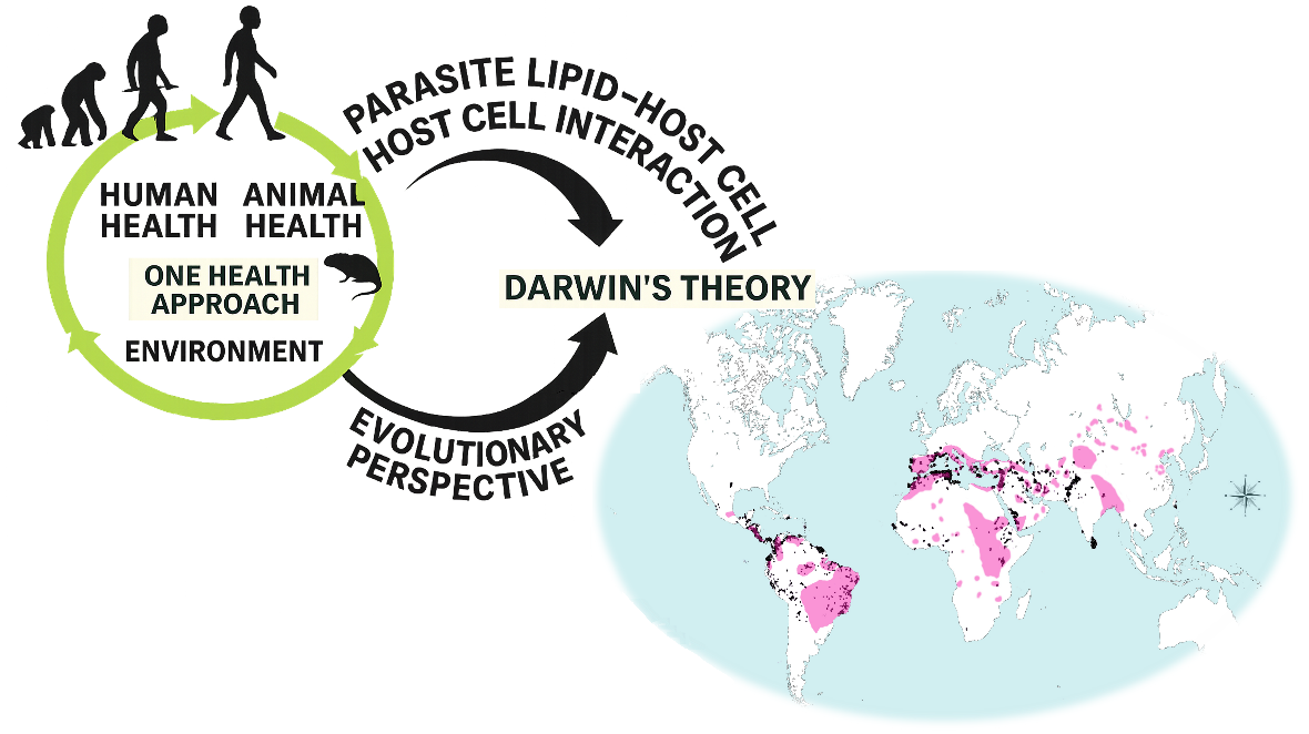 Preprints 199972 g001