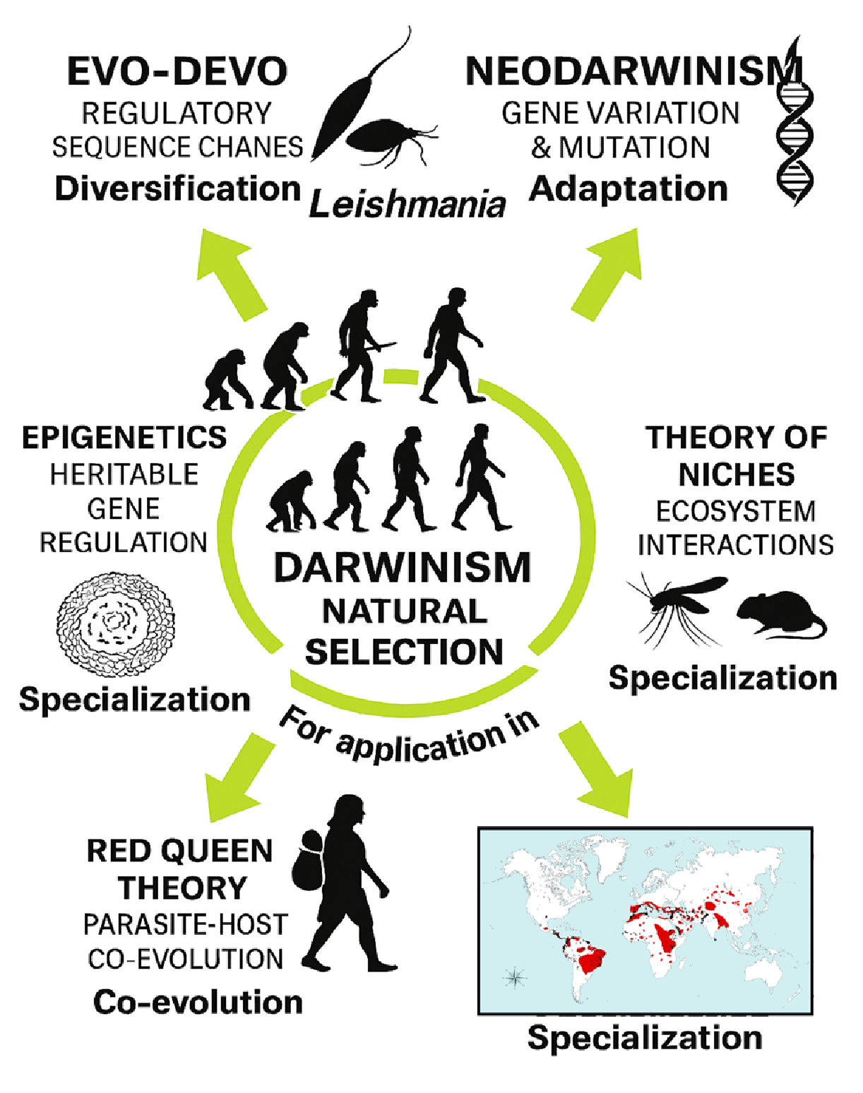 Preprints 199972 g008