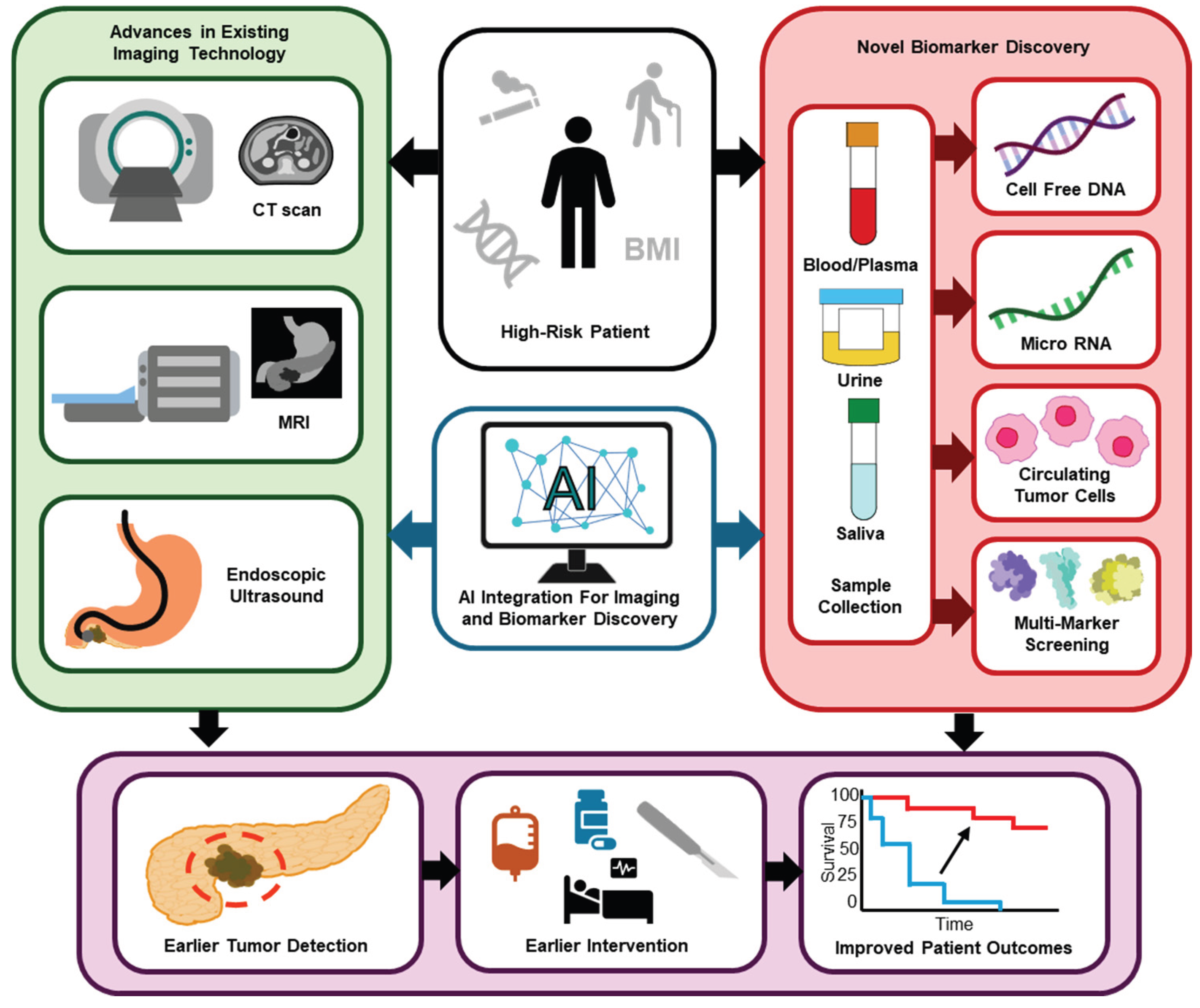 Preprints 205447 g001