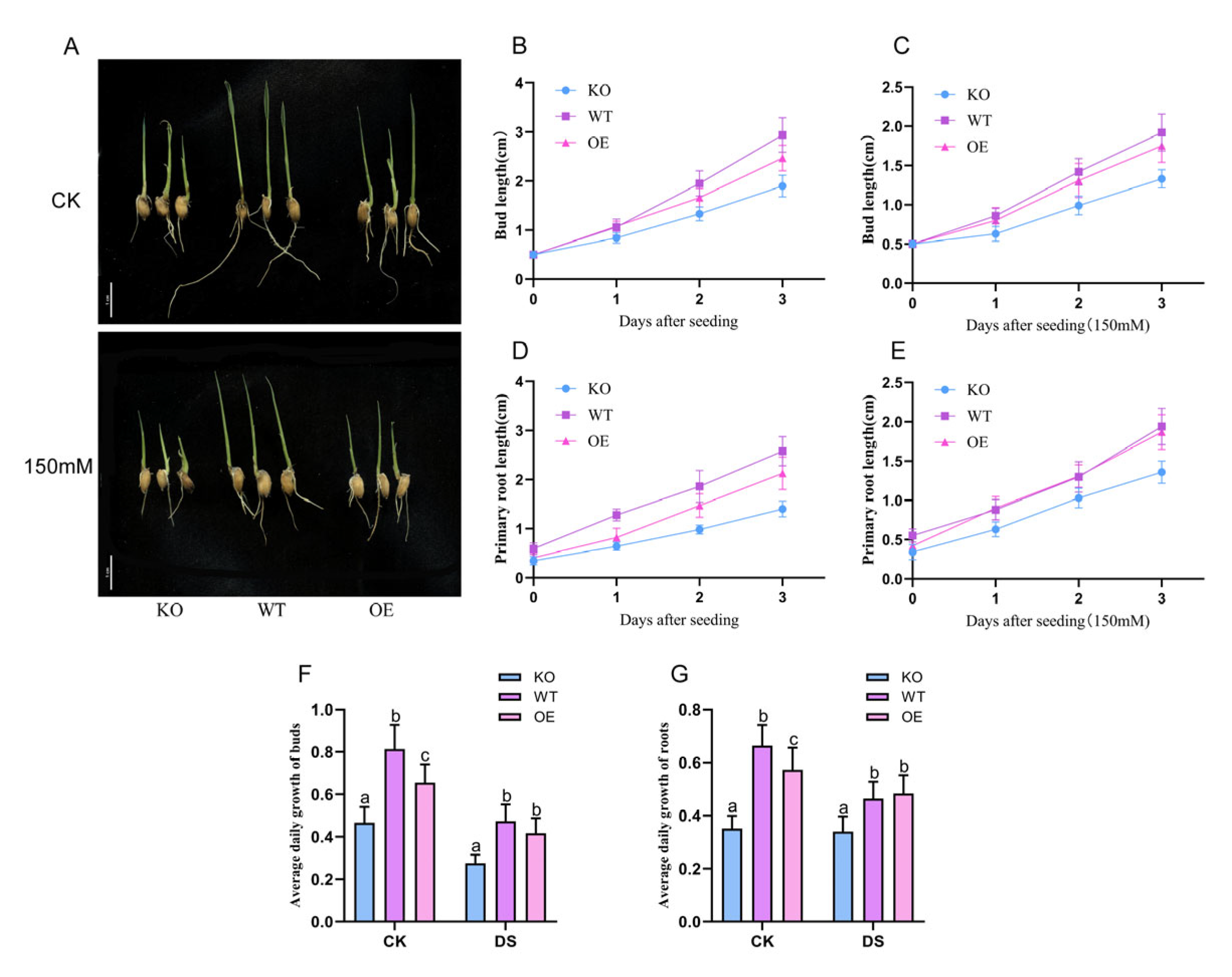 Preprints 229275 g005 Preprints 229275 g005