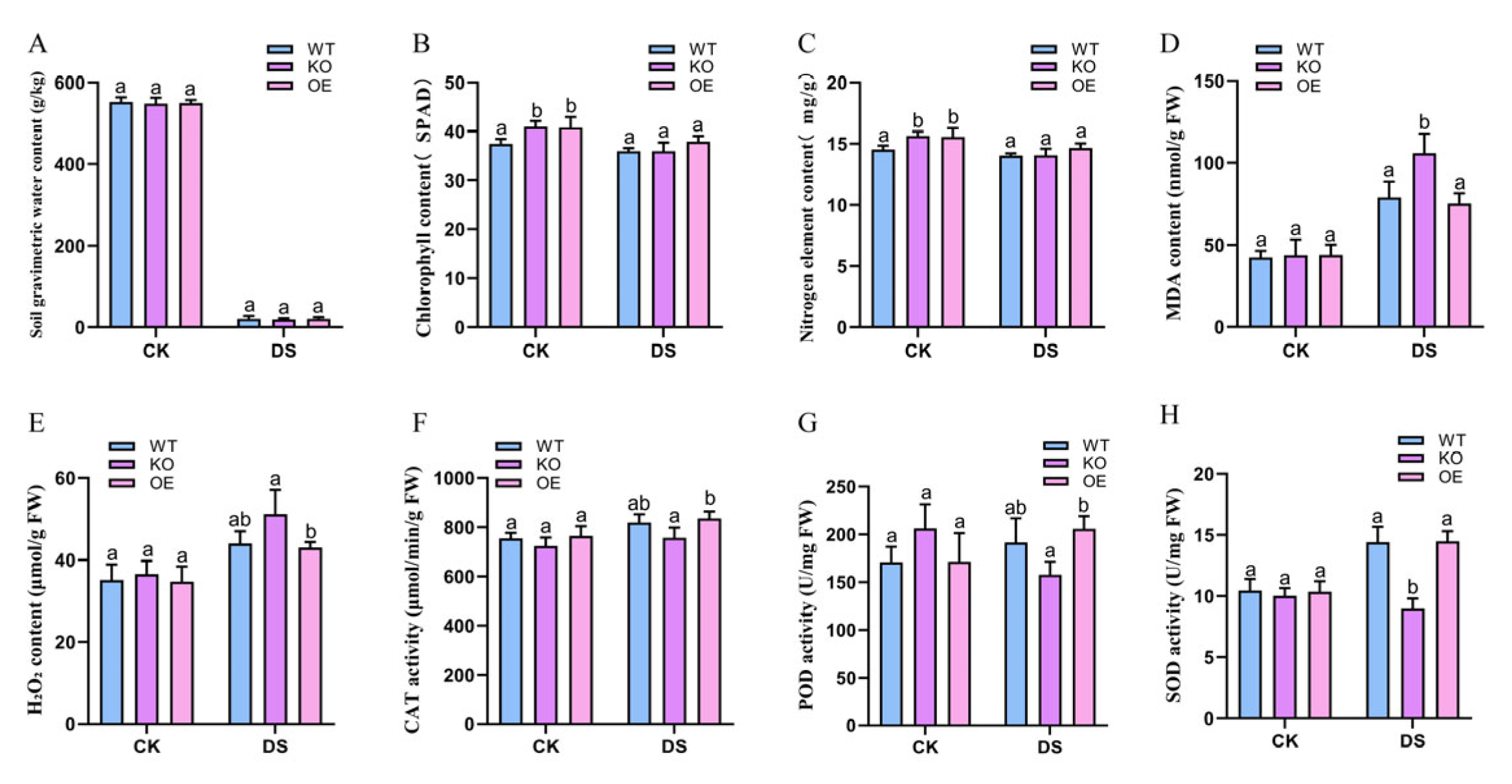 Preprints 229275 g007 Preprints 229275 g007