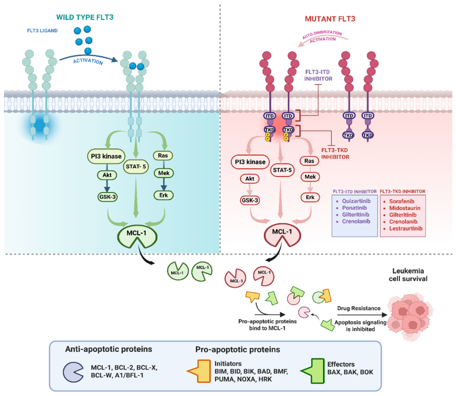 Preprints 227939 g002 Preprints 227939 g002