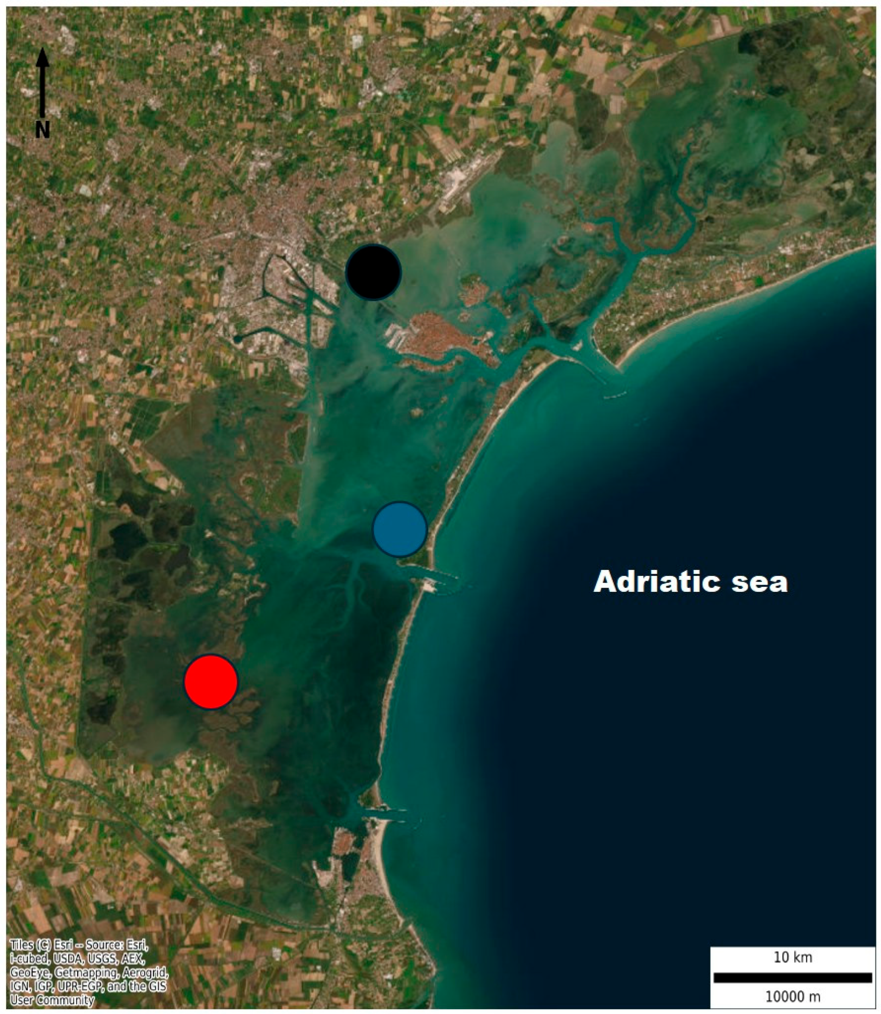 Preprints 161101 g001