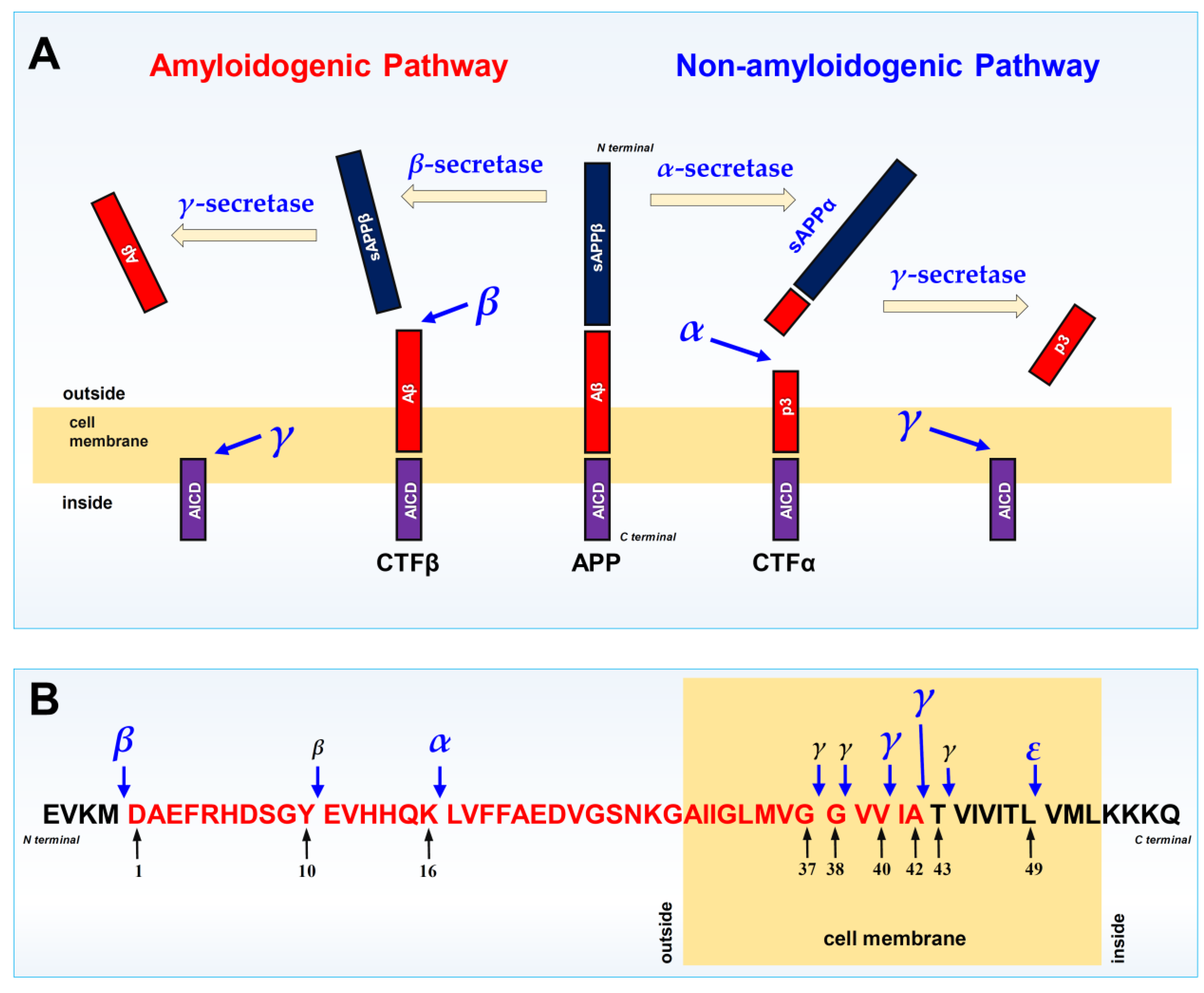Preprints 204979 g005 Preprints 204979 g005