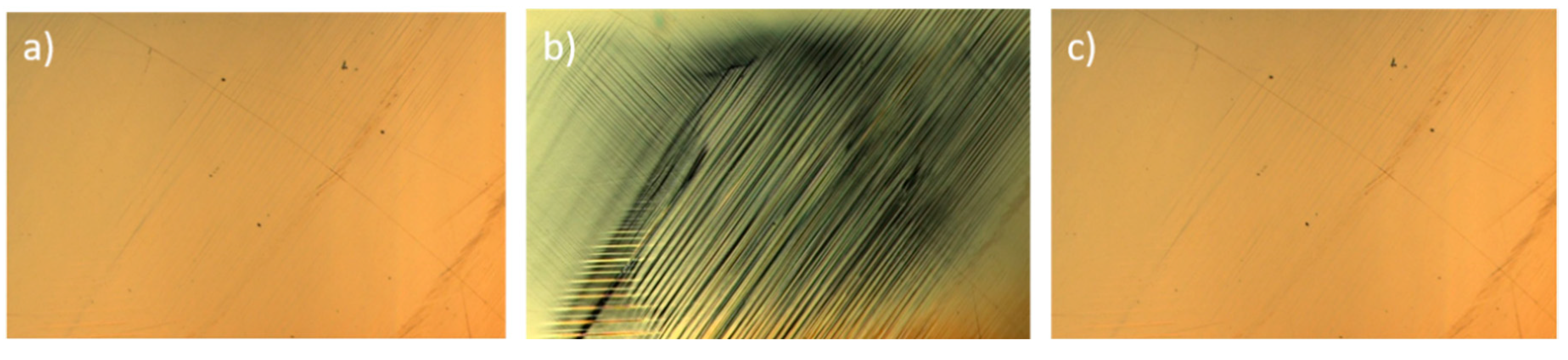 Preprints 144030 g005