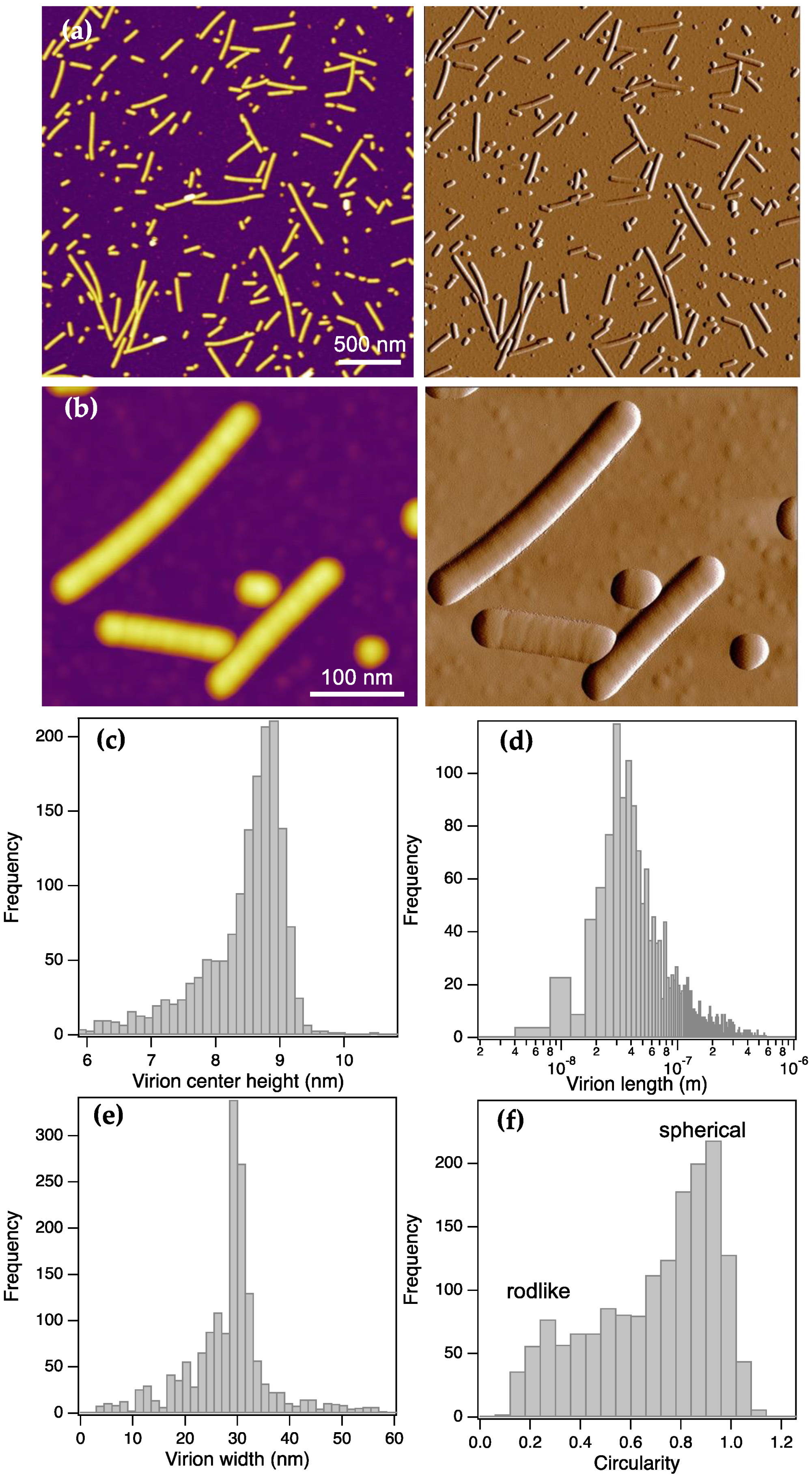 Preprints 168989 g001