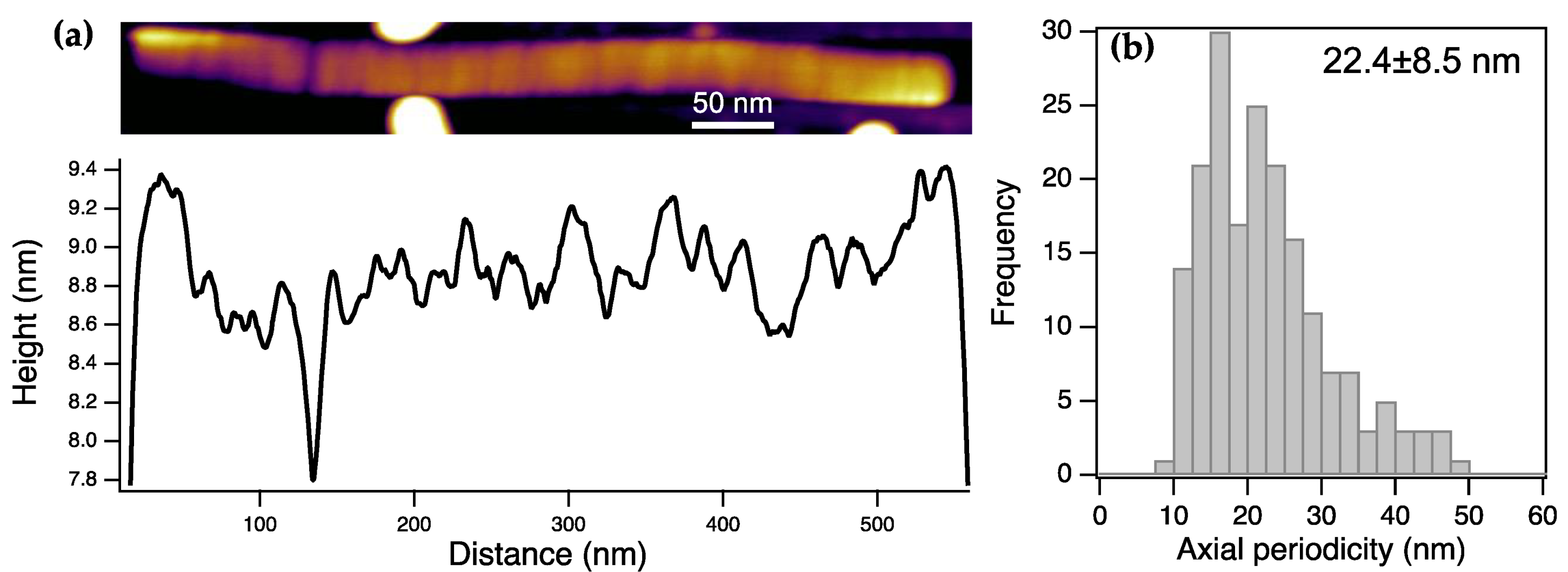 Preprints 168989 g002