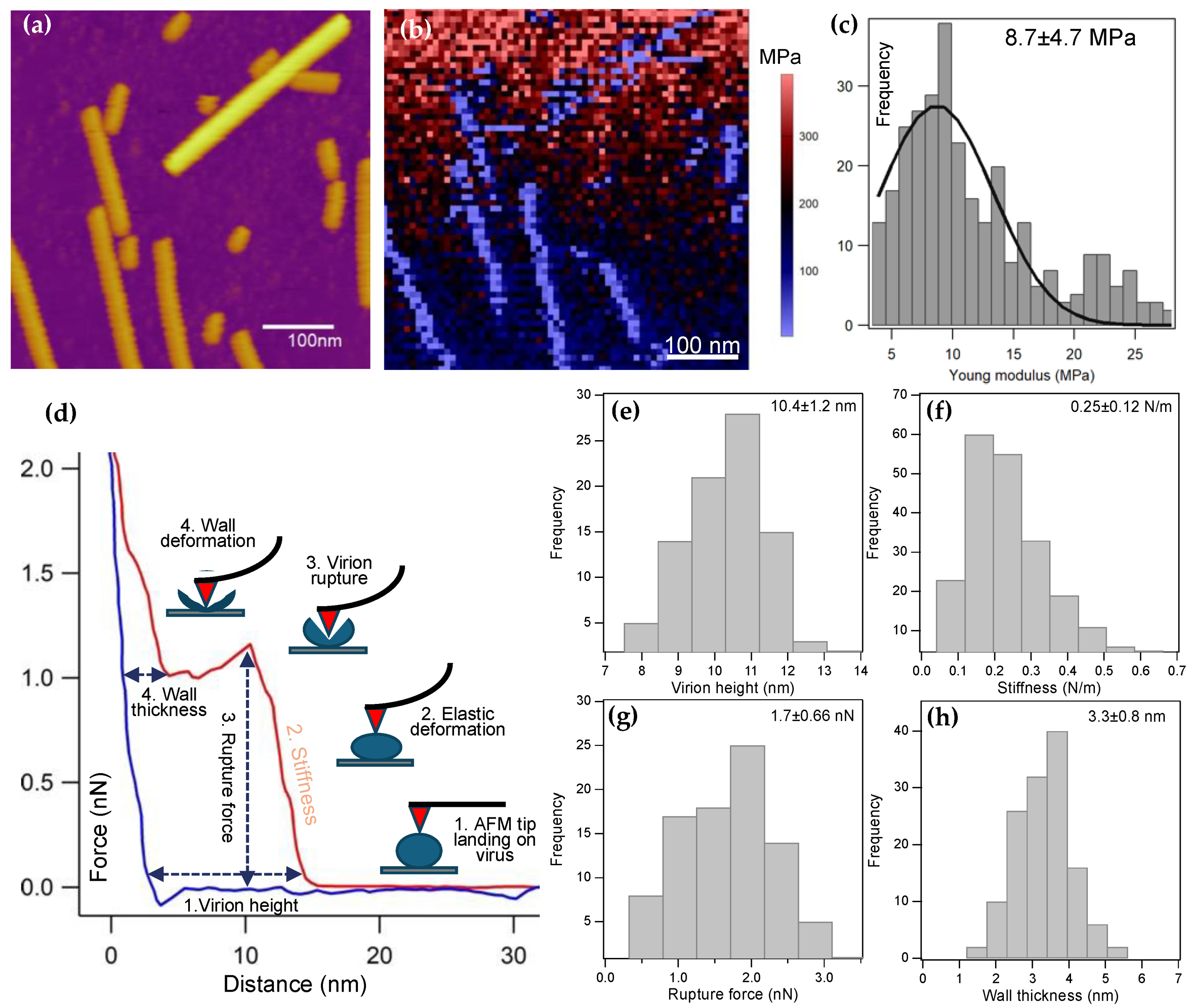 Preprints 168989 g003