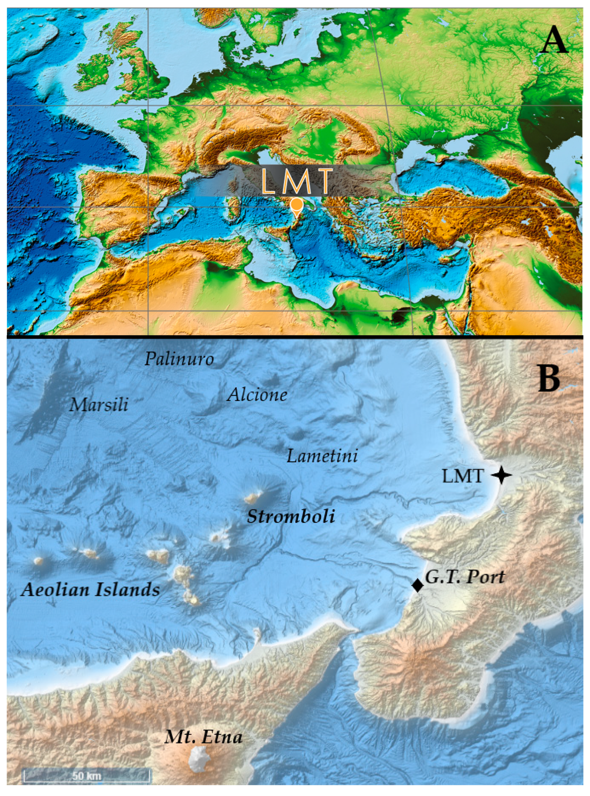 Preprints 144830 g001