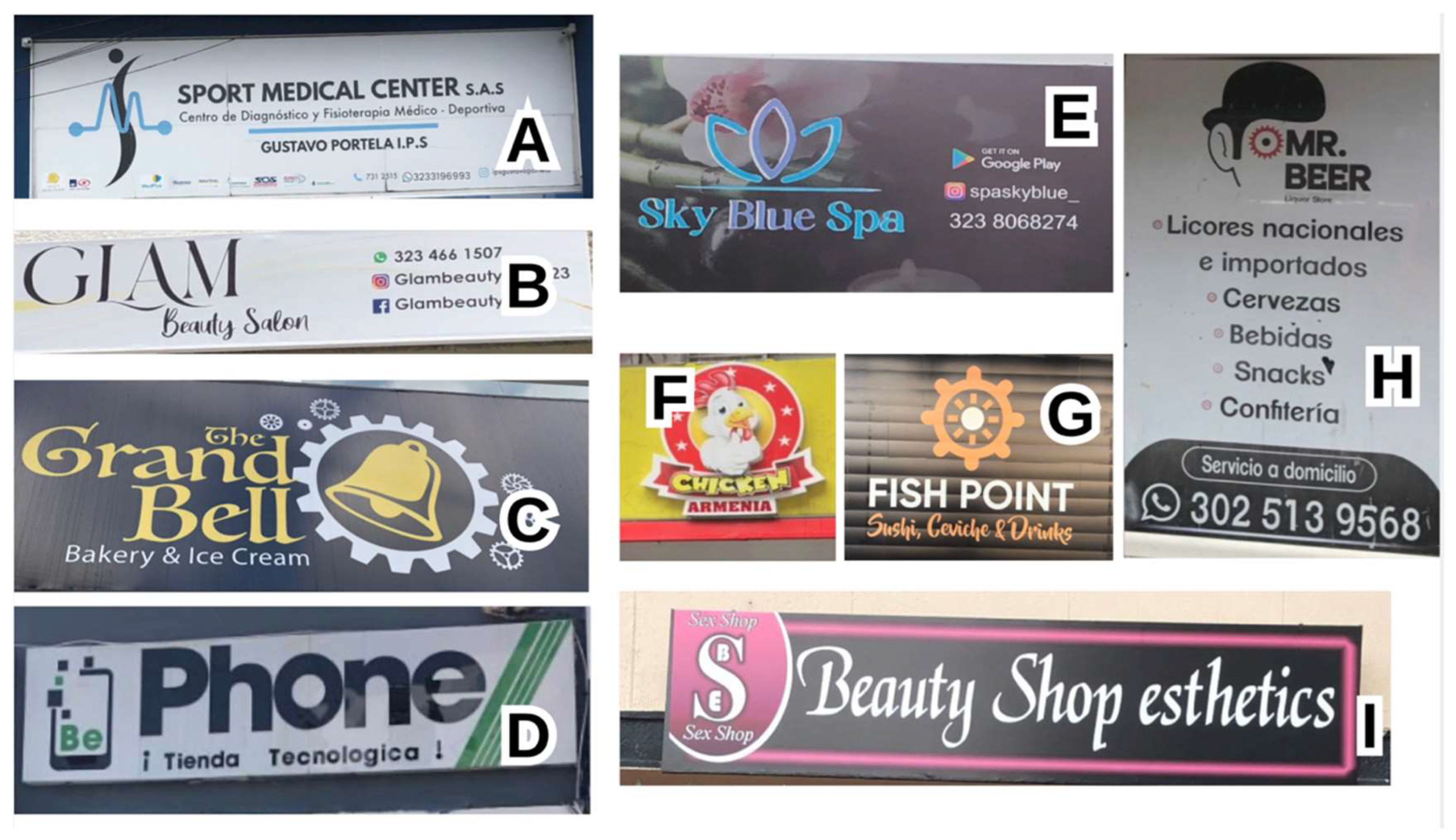 Preprints 139253 g003