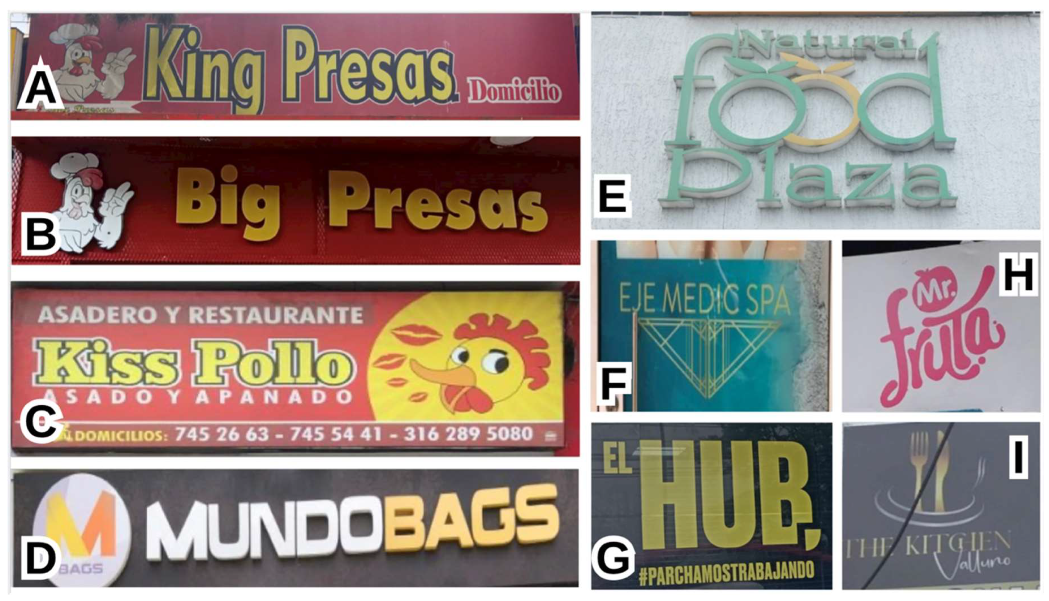 Preprints 139253 g005