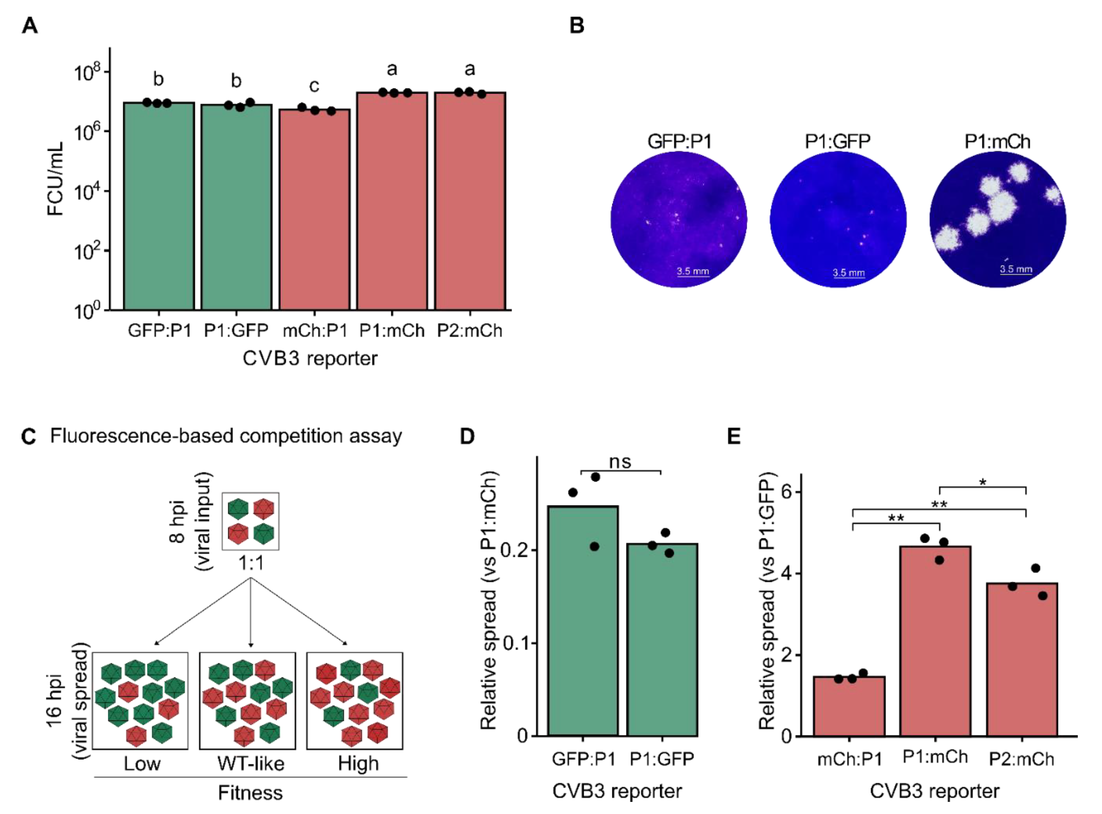 Preprints 158121 g002